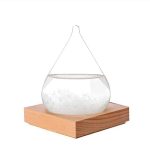 Vaso di vetro con liquido trasparente su base di legno naturale, decorazione scientifica elegante e moderna.
