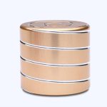 Piastra scientifica in ottone con anelli metallici, perfetta come decorazione o oggetto da collezione scientifica. Design elegante e moderno, ideale per appassionati di scienza e arredamento originale.