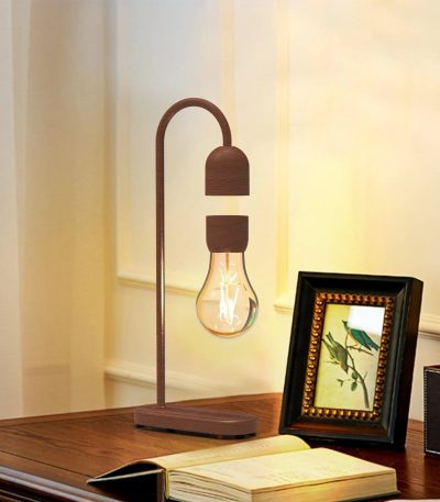 Lampada decorativa a forma di lampadina con base in legno e cornice con foglia di piante, perfetta per ambienti scientifici e moderni.