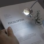 Pianta di eucalipto illuminata da una lampada da studio, posizionata su un foglio con testo, in un ambiente di lavoro o studio.