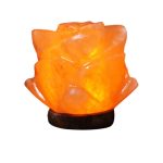 Fiore di sale Himalaya illuminato, decorazione naturale con luce calda, perfetto come lampada da tavolo o elemento decorativo per ambienti rilassanti.