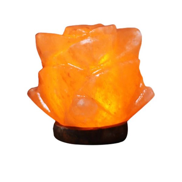 Fiore di sale Himalaya illuminato, decorazione naturale con luce calda, perfetto come lampada da tavolo o elemento decorativo per ambienti rilassanti.