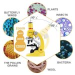 Microscopio con obiettivi ad alta potenza e campioni di insetti, piante, batteri, polline, lana e farfalle, ideale per studi scientifici e decorazioni educative.