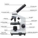 Microscopio scientifico con illuminazione, obiettivi variabili, e corpo in plastica, ideale per laboratori e studi scientifici.