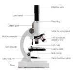 Microscopio scientifico con obiettivi, caricatore e accessori, ideale per laboratori e studi scientifici. Strumento di precisione per analisi dettagliate e osservazioni di campioni.