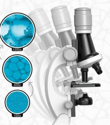 Microscopio con obiettivi multipli e ingrandimenti di 100x, 400x e 1200x, ideale per osservazioni scientifiche dettagliate e analisi di campioni biologici e chimici.
