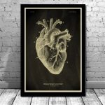 Illustrazione dettagliata del cuore umano, evidenziando le strutture anatomiche principali come le arterie e le vene, in stile vintage.