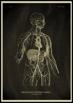 Diagramma del sistema circolatorio umano con cuore, arterie e vene, illustrato in stile vintage, perfetto come decorazione scientifica.