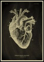 Immagine di un'illustrazione storica dell'anatomia umana, che mostra dettagli del cuore e del cervello con etichette scientifiche. Perfetta come decorazione educativa o da collezione.