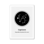 Oggetto decorativo con simbolo del Capricorno, rappresenta responsabilità, disciplina e autocontrollo. Perfetto come decorazione scientifica o simbolo zodiacale per appassionati di astronomia e astrol.