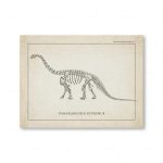 Rappresentazione scheletrica di un Camarasaurus Supremus, dinosauro erbivoro con collo lungo e grande corpo, illustrato in stile vintage.