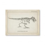 Tyrannosaurus Rex scheletro fossile, disegno scientifico vintage, oggetto decorativo per appassionati di paleontologia e storia naturale.