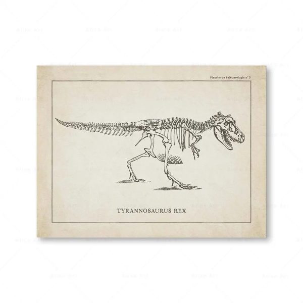 Tyrannosaurus Rex scheletro fossile, disegno scientifico vintage, oggetto decorativo per appassionati di paleontologia e storia naturale.