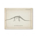 Disegno storico di uno scheletro di Diplodocus Carnegii, dinosauro preistorico, illustrato in modo dettagliato e scientifico.