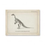 Scheletro di Iguanodon Bernissartensis, fossile di dinosauro preistorico.