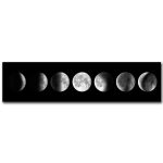 Sequenza di fasi lunari in bianco e nero, che mostra il ciclo completo della luna, ideale come decorazione scientifica o oggetto di studio.