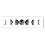 Sequenza di immagini che mostra le diverse fasi della Luna, dall'ultima luna nuova alla luna piena e ritorno. Perfette come decorazioni scientifiche o per progetti educativi.