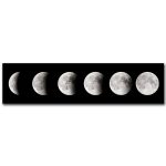 Sequenza di fasi lunari che mostra il ciclo completo della luna, dalla nuova alla piena, ideale come decorazione scientifica.