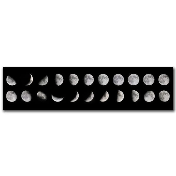 Sequenza di fasi lunari che mostra le diverse fasi della luna, dalla luna nuova alla luna piena, in un'immagine panoramica.