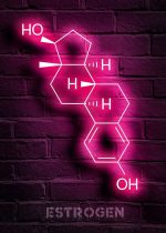 Rappresentazione luminosa al neon della molecola di estrogeno, con struttura chimica evidenziata in rosa fluorescente contro una parete di mattoni viola.
