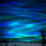 Immagine di un cielo notturno con l'aurora boreale verde e blu, stelle visibili e silhouette di alberi sullo sfondo.