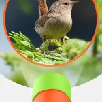 Uccello su ramo con lente di ingrandimento scientifica, simbolo di osservazione e studio scientifico della natura.