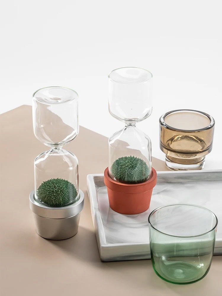 Set di vasi decorativi in vetro e terracotta con piante succulente, perfetti come oggetti scientifici e decorazioni per la casa o l'ufficio. Design elegante e moderno.