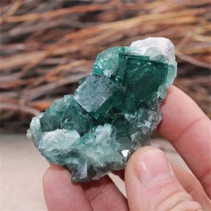 Immagine di un cristallo di Fluorite verde, con cristalli traslucidi e sfaccettati, tenuto tra le dita, su sfondo naturale. Perfetto come decorazione scientifica o oggetto da collezione.