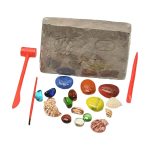 Pietra con fossili e conchiglie colorate, decorazione scientifica per ambienti educativi e di design.