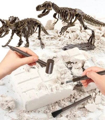 Modello scheletrico di dinosauro con strumenti di scavo, perfetto per decorazioni scientifiche e attività educative, in un ambiente di laboratorio o aula.