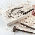 Fossile di rettile in argilla con strumenti di modellazione, mostra dettagli di un fossile di un rettile preistorico, ideale come decorazione scientifica.