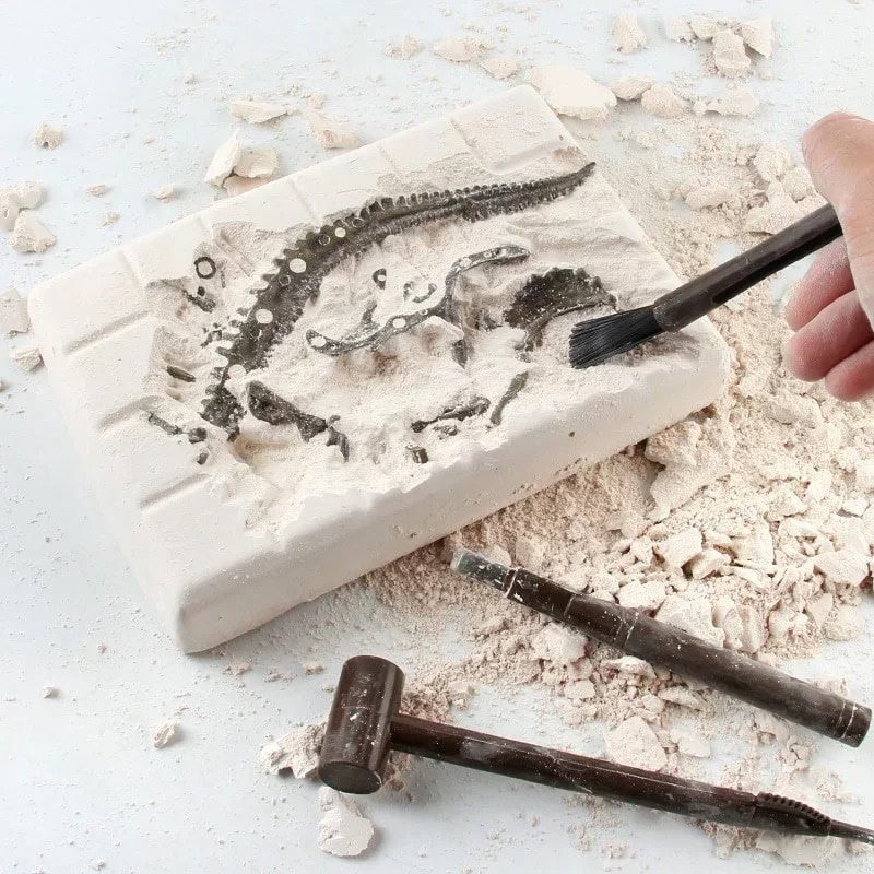 Fossile di rettile in argilla con strumenti di modellazione, mostra dettagli di un fossile di un rettile preistorico, ideale come decorazione scientifica.