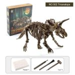 Pezzo di testo 2: Scheletro di Triceratopo in plastica con strumenti di montaggio e adesivi inclusi, perfetto per appassionati di dinosauri e attività educative.