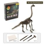 Scheletro di Brachiosaurus in plastica per attività educative e decorazioni scientifiche.