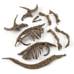 Set di ossa fossili di rettile preistorico, tra cui scheletri di dinosauro e altri resti fossili, perfetti come decorazioni scientifiche o oggetti da collezione.
