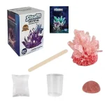 Kit per cristallo di sale rosa dell'Himalaya con sale, bastoncino, contenitore e base, perfetto per decorazioni scientifiche e progetti DIY.