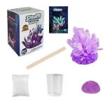 Kit per creare cristalli di sale con sale, bastoncino e contenitore, perfetto per attività scientifiche e decorazioni.