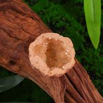 Geode di quarzo rosa con cristalli brillanti, posizionata su legno naturale, sfondo verde. Perfetta come decorazione scientifica o oggetto da collezione.