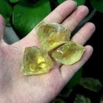 Tre pietre di citrino naturale giallo, cristalli traslucidi e lucenti, su sfondo di foglie verdi. Perfette come decorazioni scientifiche o oggetti da collezione.