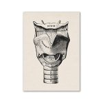 Modello illustrato della tiroide con dettagli anatomici, rappresenta le parti della ghiandola tiroidea e le strutture circostanti, ideale per scopi educativi e decorativi scientifici.