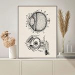 Oggetto scientifico decorativo con dettagli anatomici dell'occhio umano.