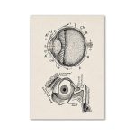Diagramma anatomico dettagliato dell'occhio umano e delle sue parti, con etichette e descrizioni scientifiche, ideale come decorazione scientifica o oggetto da collezione.