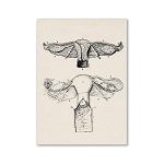 Disegno anatomico dettagliato del sistema riproduttivo femminile e maschile, illustrando le strutture principali con precisione scientifica.