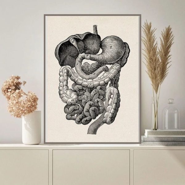 Vaso con piante secche e decorazioni naturali, ideale per arredamento rustico e boho chic, aggiunge un tocco di calore e stile a ogni ambiente.
