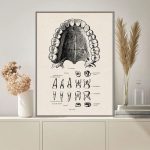 Immagine di un'illustrazione storica di strumenti odontoiatrici, tra cui pinze, specchietti e altri attrezzi, in stile vintage e dettagliato.