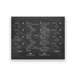 Diagramma illustrativo del DNA e RNA con strutture chimiche e componenti come nucleobases, zuccheri e fosfati, su lavagna nera.