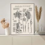 Piantina scheletrica umana con dettagli anatomici e annotazioni scientifiche, decorazione per appassionati di scienza e medicina.