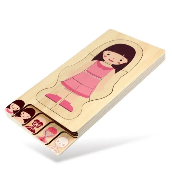Bambola di cartone con organi umani illustrati, perfetta come decorazione educativa per bambini e appassionati di scienze.