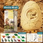 Uovo di dinosauro in plastica con sorpresa educativa, perfetto per bambini, con figure di dinosauri e strumenti scientifici inclusi, ideale per giochi educativi e decorazioni.