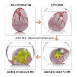 Modello di un uovo di dinosauro in vetro con liquido, che mostra il processo di schiusa e sviluppo di creature verdi al suo interno, ideale come decorazione scientifica.